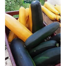 Courgette soupe bio 2kg