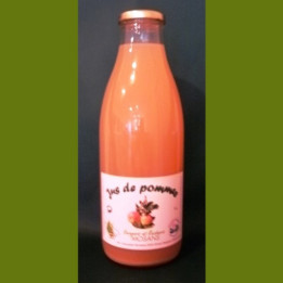 Jus de POMMES en BOUTEILLES de verre - 1L