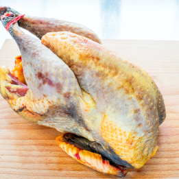 Pintade entière - 1,3 à 1,5 kg - Parelhoen volledig