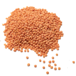 Lentille corail - 5kg - BIO - France