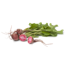 Betterave Chioggia/ Chioggia biet - 500g