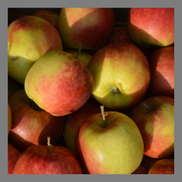Pommes Jonagold bio 1kg