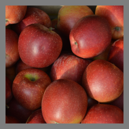 Pommes Braeburn bio 1kg
