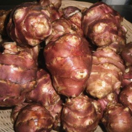 Topinambour/ Aardpeer - 500g