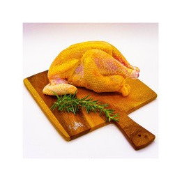 Boulette de Coucou de Malines (2 Pc)