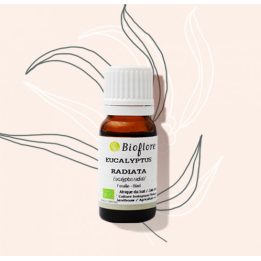 Huile essentielle - Eucalyptus radiata - 10ml