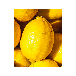 Citron - 1 PIECE - BIO - IT