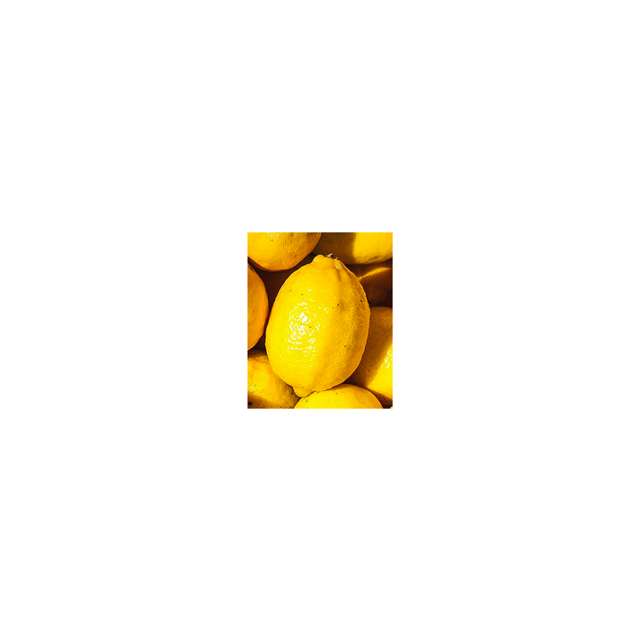 Avocat - bio - ESPAGNE