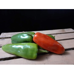 Poivrons vert BIO 1kg