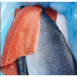 Saumon - en filet - avec peau - 1kg