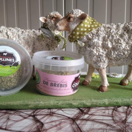 Fromage frais de brebis ail & fines herbes