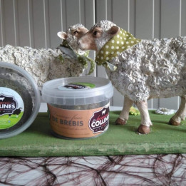 Fromage frais de brebis enrobé ail des ours