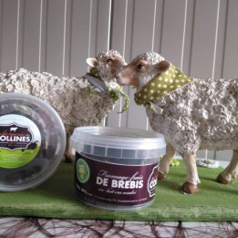 Fromage frais de brebis  cendré