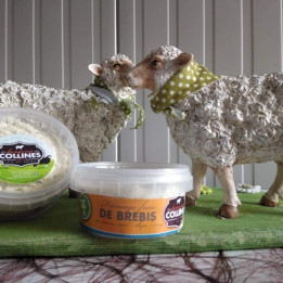 Fromage frais de brebis Miel - Thym - Curry