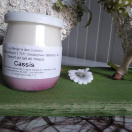 Yaourt de brebis cassis - 125ml
