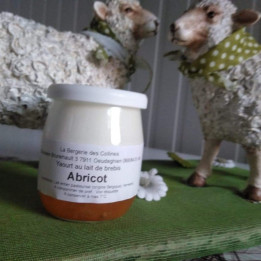 Yaourt de brebis abricot - 125ml
