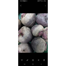 Betterave 1kg bio