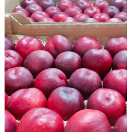 Nectarines - 1kg - BIO - ITALIE