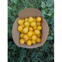 Mirabelles Bio (500gr)