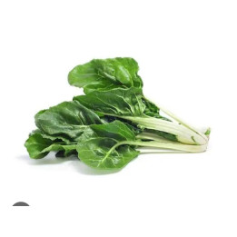 Blette bio botte