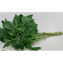 Basilic botte bio